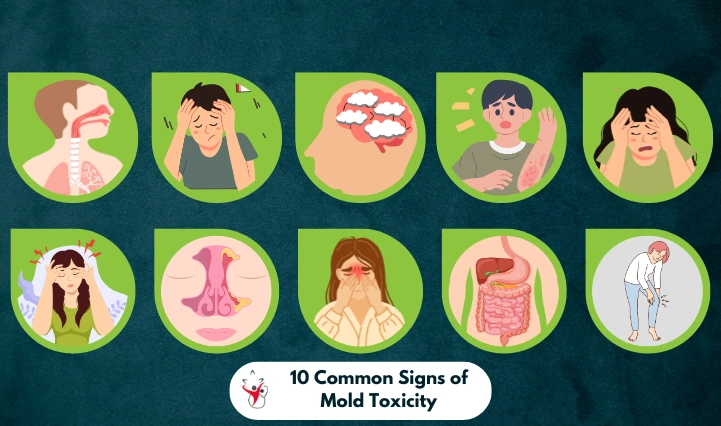 10 Common Signs of Mold Toxicity